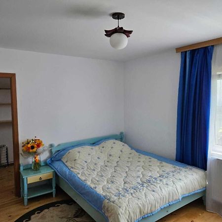 Muzicii 11 - Cozy Seaside Apartments Năvodari Exteriör bild